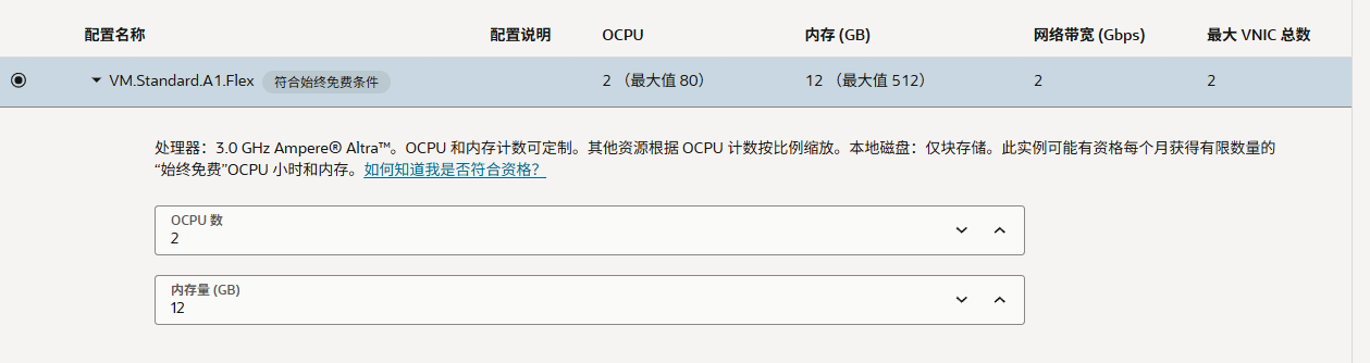 把 OCPU 和内存调低到 2C12G
